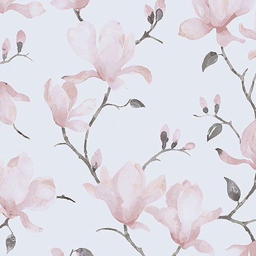 MAGNOLIA ROSA thumbnail
