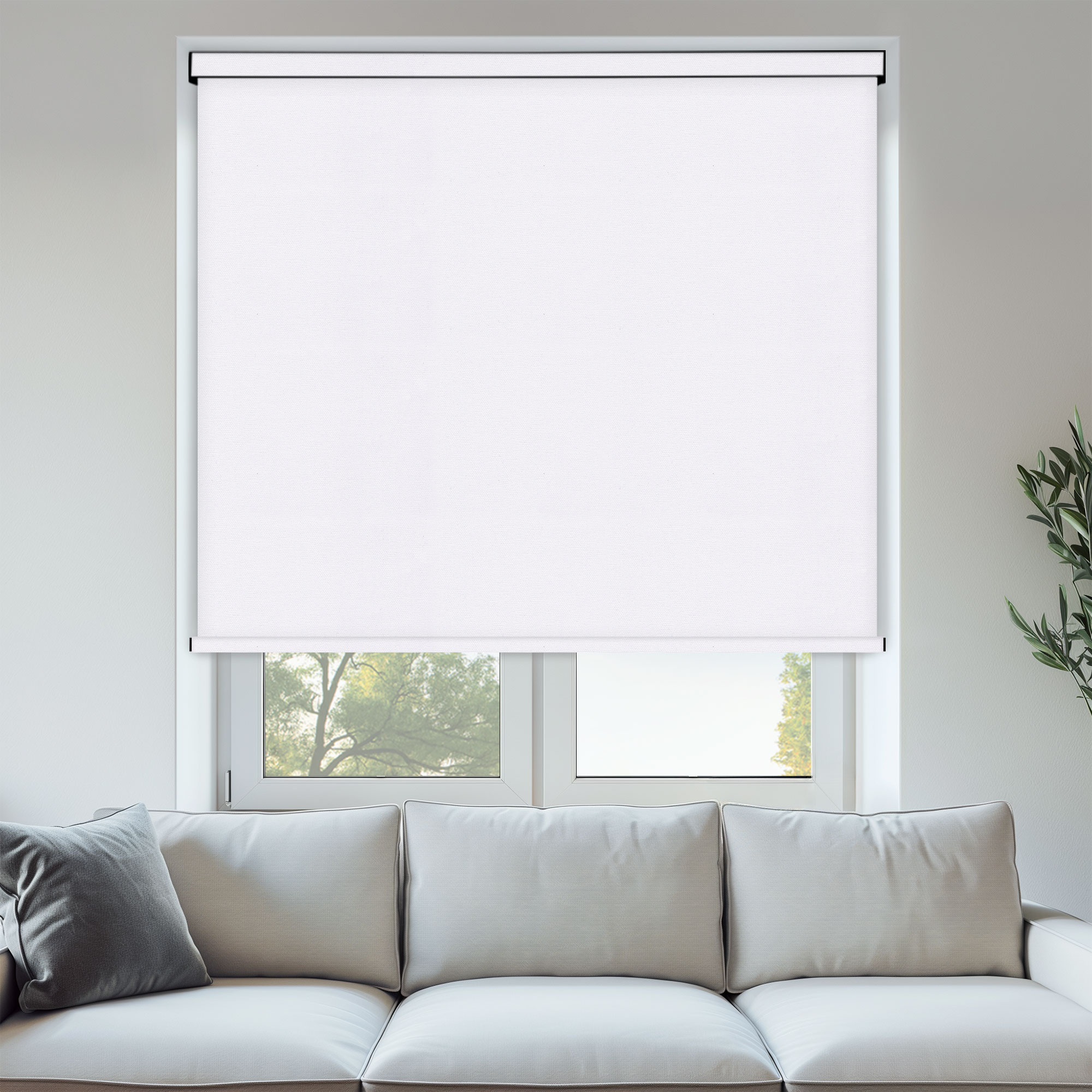 ROLL_SUNSET_BO_WHITE