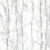 SWEDISH_BIRCH_SILVER