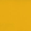 CARNIVAL_BO_OCHRE