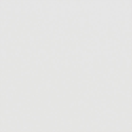 Carnival China White thumbnail