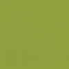 CARNIVAL_KIWI