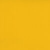 CARNIVAL_OCHRE