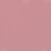 CARNIVAL_PINK