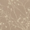 COLLINA_BO_CHAMPAGNE_FIZZ