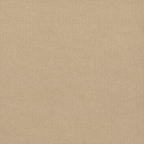 Guardian Parchment thumbnail