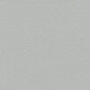 PERSPECTIVE_1_PERCENT_GREY