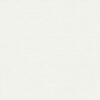 PERSPECTIVE_1_PERCENT_WHITE