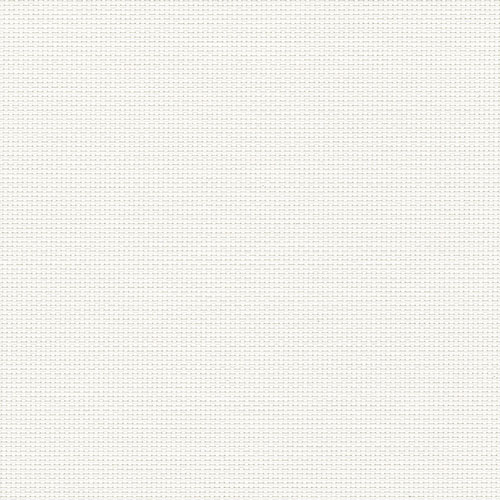 PERSPECTIVE_1_PERCENT_WHITE