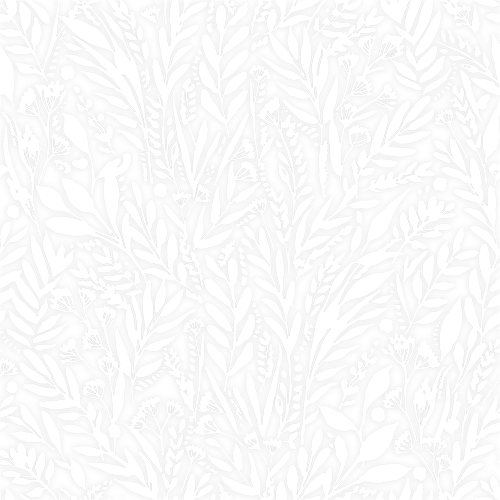 PETAL_WHITE