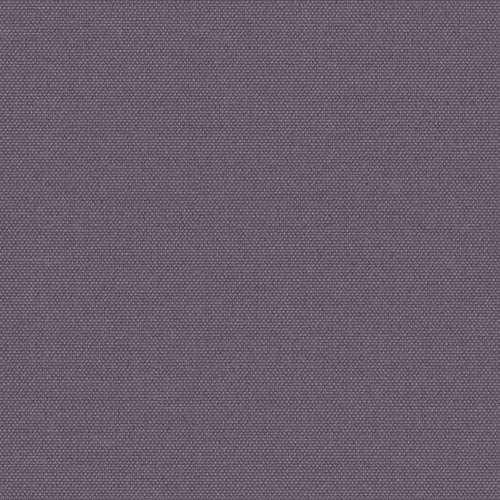 Pop Blackout Iris thumbnail