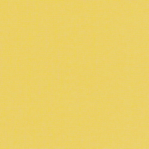 Pop Blackout Lemon thumbnail