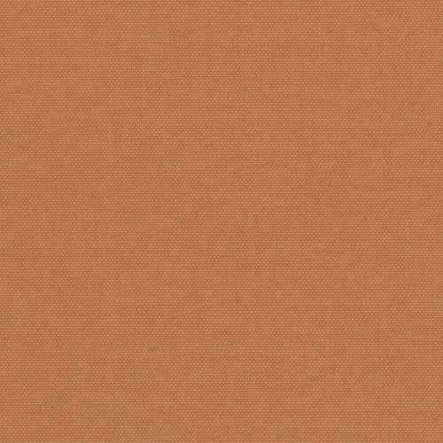 Pop Terracotta thumbnail