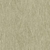 SAVANNA_DO_GRASS