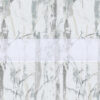 ALBERO SILVER